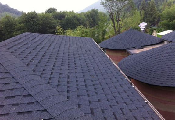 中國建筑防水協(xié)會(huì)組團(tuán)參加印度屋面防水展